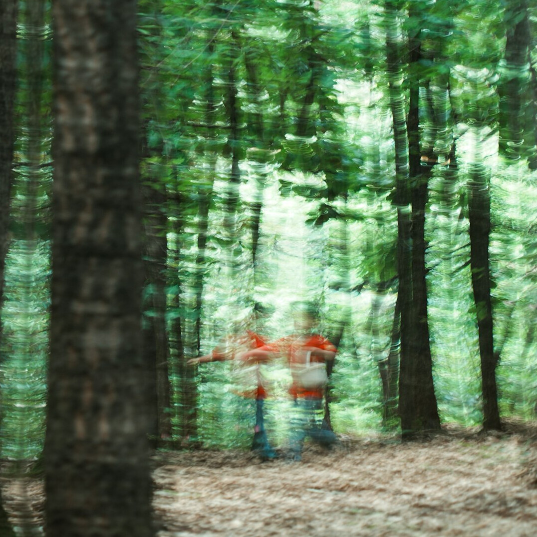 investigators in forest