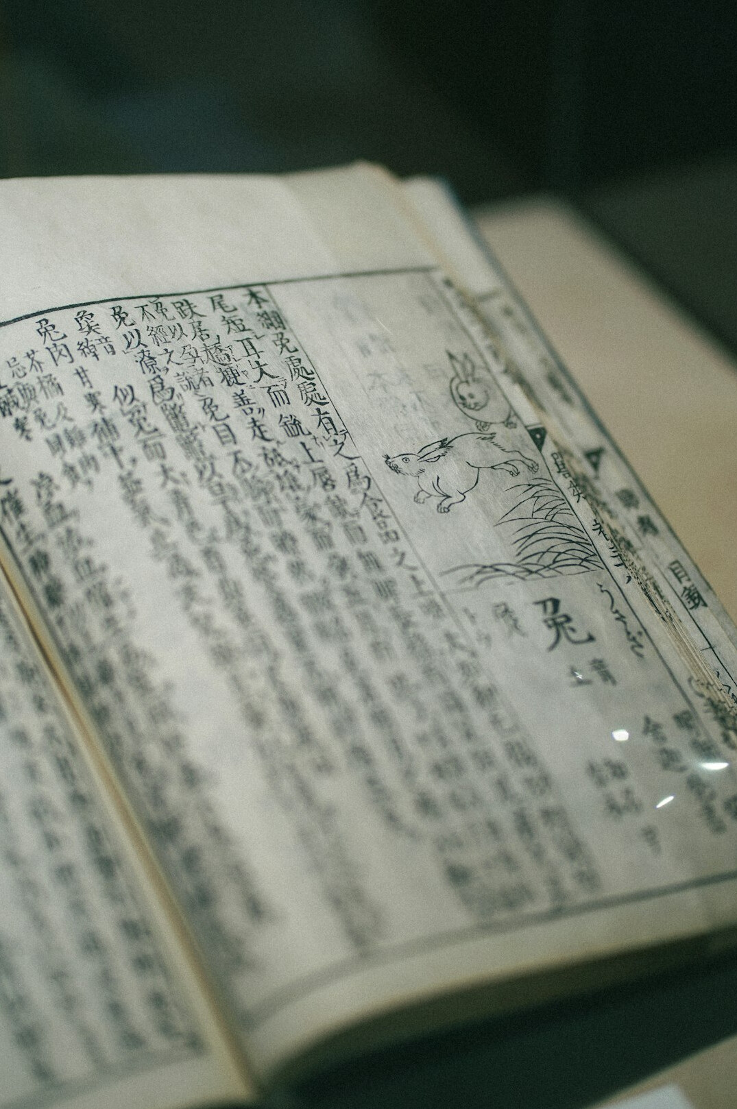 ancient ritual book