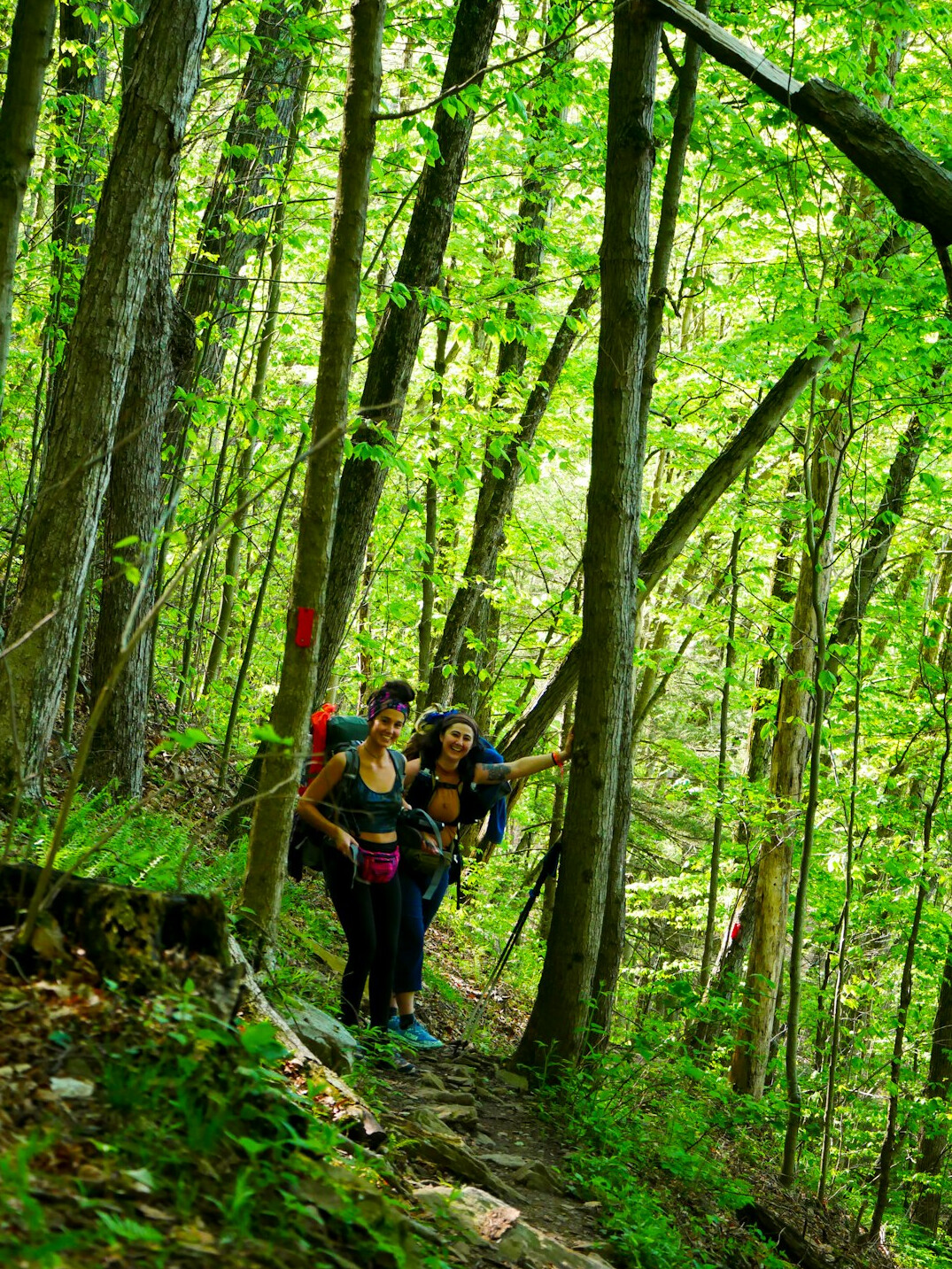family hiking in woods