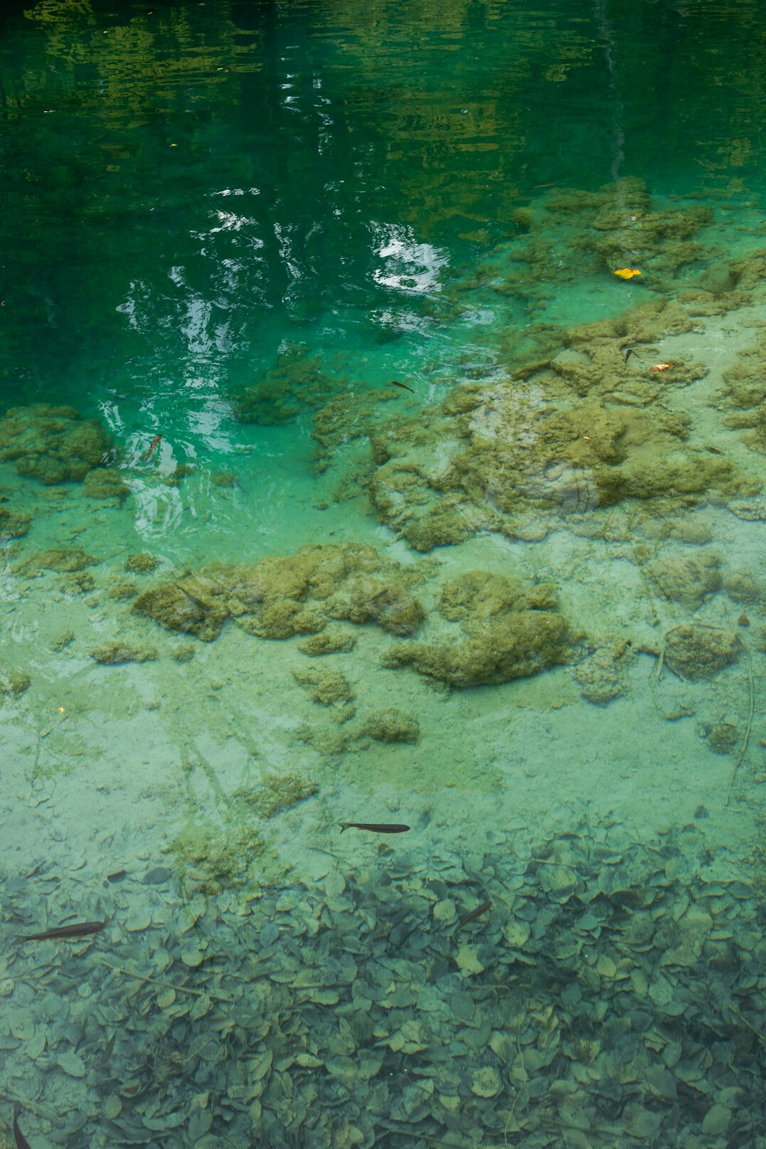 underwater lake view